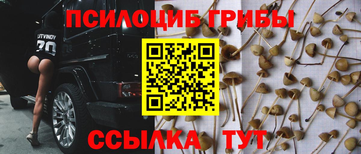 Псилоцибиновые грибы GOLDEN TEACHER Карпинск